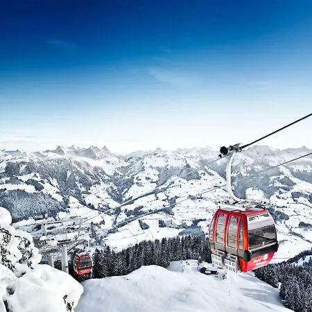 Pleasant Group In A Central Location Between Kitzbuhel And Mittersill. * Thurn